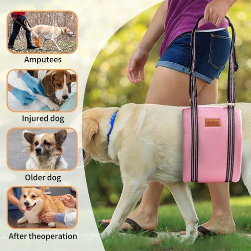 Dog Lift Harness for Large Dogs (X-Large (Pack of 1) / Pink)