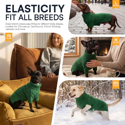 Small Dog Sweaters for Small Dogs Girl Boy (Small / Green)