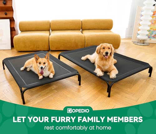 Elevated Dog Bed Outdoor Cooling Raised Cot for XL Dogs (XXL-53.9"L×35.8"W×7.9"Th / Black)