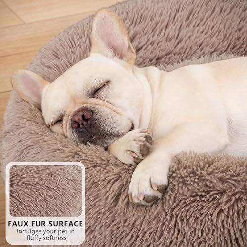 Calming Cat Beds for Indoor Cats (XS(20’’x 20’’) / Brown)