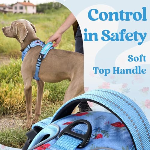Dog Harness Medium Sized (Medium / Floral Blue)