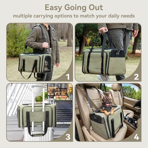 Large Double Expandable Cat Carrier for Large Cats and Small Dogs (19.0"L x 12.0"W x 12.0"H / Green)