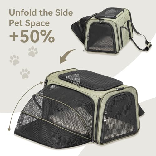 Small Expandable Cat Carrier for Air Travel (16.0"L x 10.0"W x 9.0"H / Green)