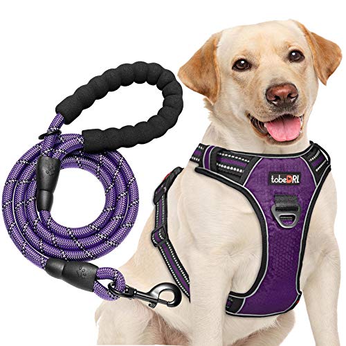 No Pull Dog Harness Adjustable Reflective Oxford Easy Control Medium Large Dog Harness with A Free Heavy Duty 5ft Dog Leash (Purple / X-Large)