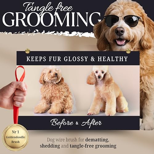 Dog Slicker Brush (8 Inch x 4.8)