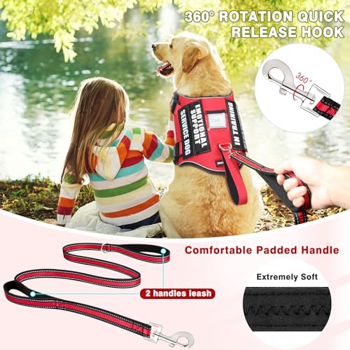 Service Dog Vest Harness and Leash Set+10 Patches (Medium / Red)