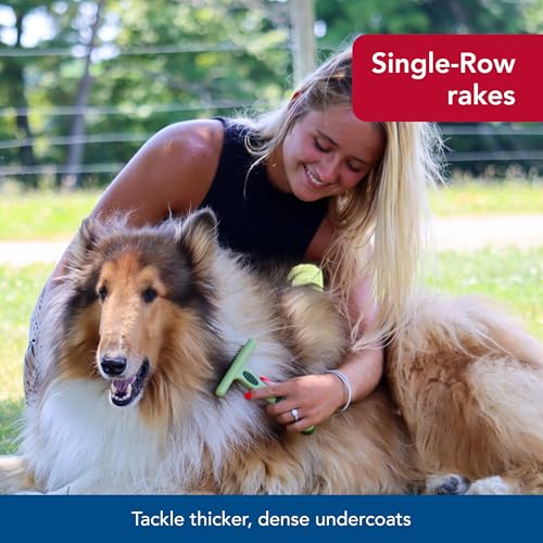 Pet Safari Dog Undercoat Rake (Single Row / 1 Count (Pack of 1))