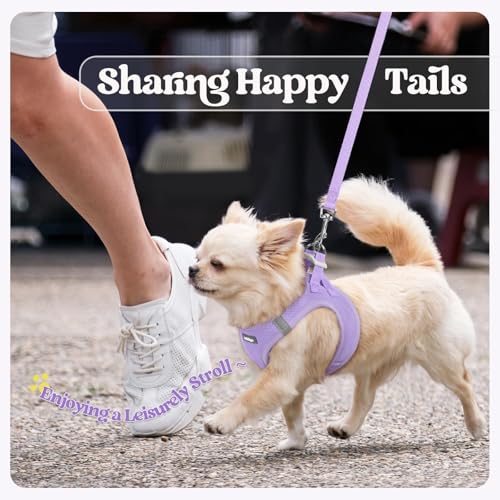 Dog Harness Small Sized and Leash Set (Light Purple / S (chest: 15.1 - 16.5"))