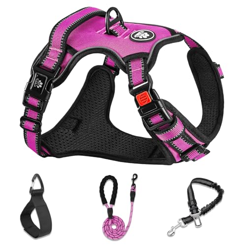 No Pull Dog Harness (Fuchsia Pink / Small)
