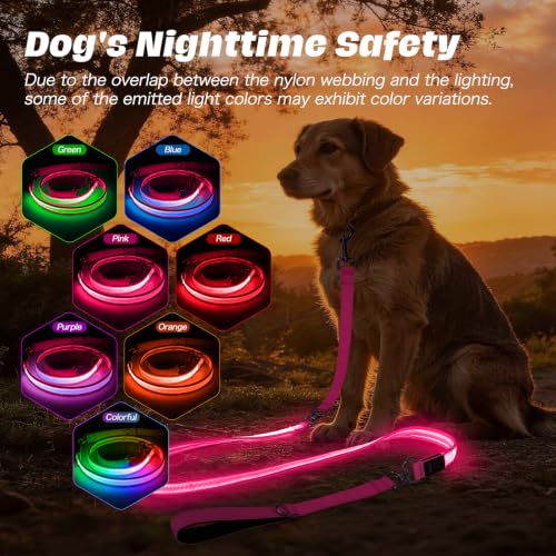 Light Up Dog Leash (Pink / 6FT)