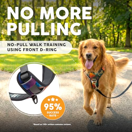 Embark No Pull Dog Harness (M / Aurora)