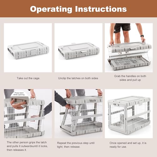 36" L Collapsible Dog Crate for Dogs (Beige / 36.42 x 24.2 x 26 in)