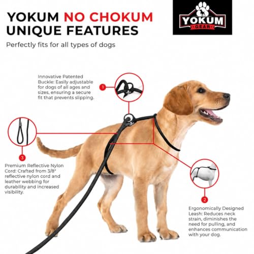 12ft No Pull No Choke Leash Long Rope Dog Leash (12 Ft / BLACK)