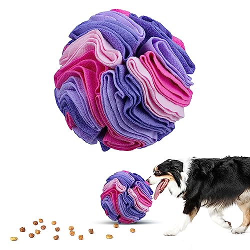 Pet Snuffle Ball (Pink and purple / 20cm)