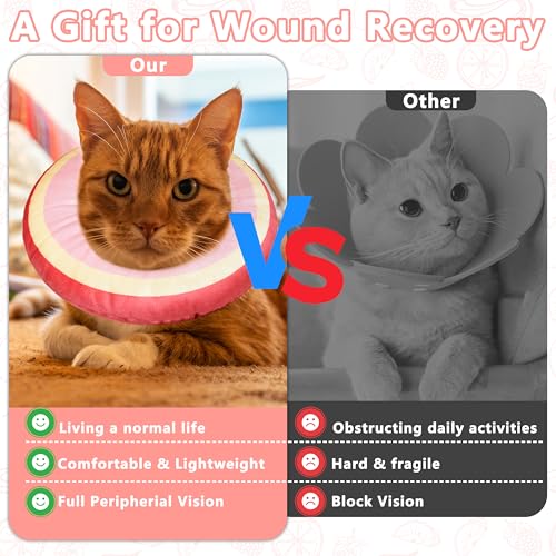 Cat Cone Collar Soft (Peach / Large)