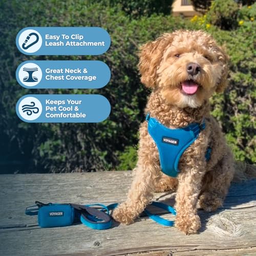 Voyager Adjustable Step (Harness Leash Set (Turquoise) / L)