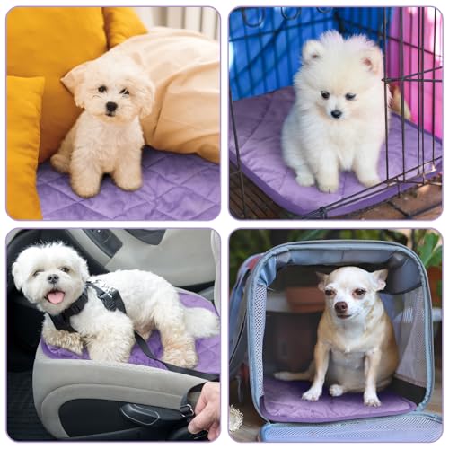 4 Pack Self Heating Cat Pad Self Warming Dog Mat Reflects Body Heat Extra Warm Thermal Pet Pad Washable Dog Cat Bed Crate Bed Mat Blanket (16 x 20 Inch / Purple)