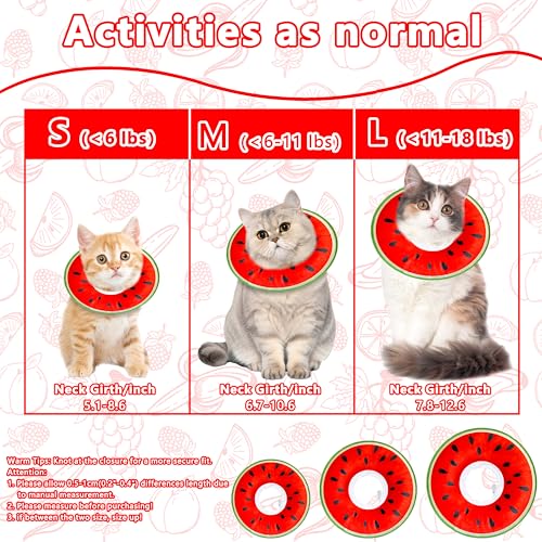 Cat Cone Collar Soft (Watermelon / Large)