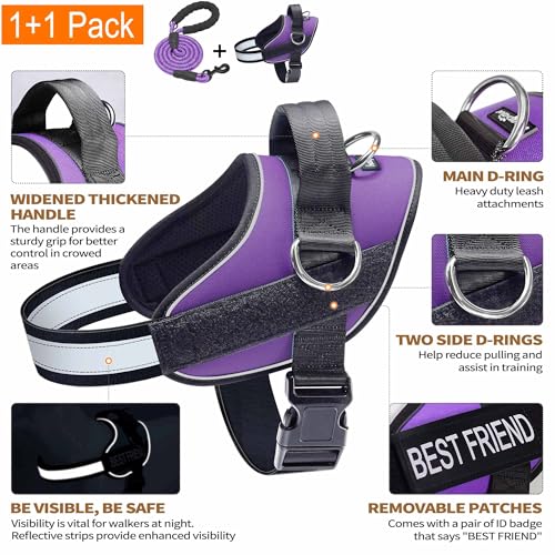 Essential Dog Harness (L / Purple)