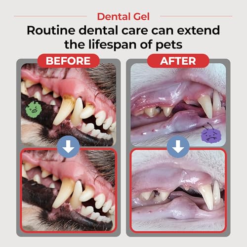 Dental Gel Dog Cat Toothpaste (Toothpaste / 1 Count (Pack of 1))