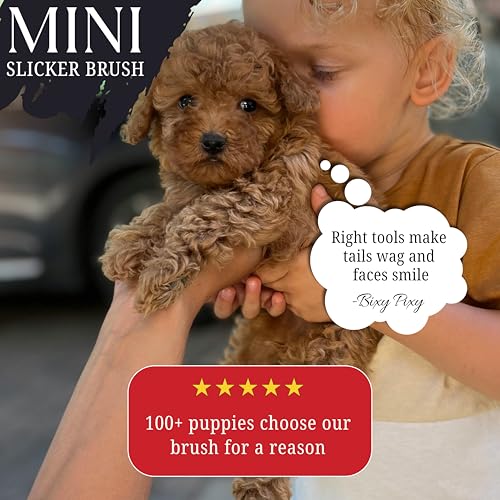 Mini Brush for Dogs and Cats (Mini Brush)