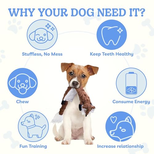 Dog Squeaky Toys 5 Pack (Medium / Bubble Plush-5 Pack)
