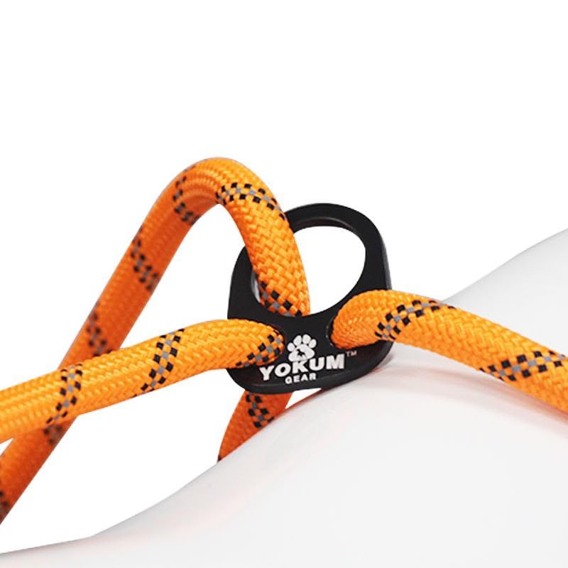 30ft Check Cord to Train Dog (30 Ft / ORANGE)