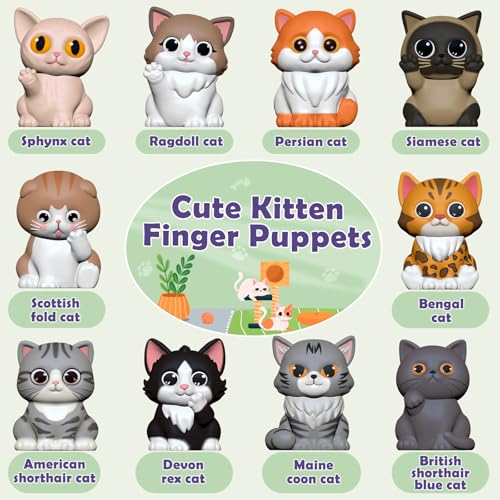 Learning Toys for 1 2 3 Year Old Boys Girls (KITTEN)