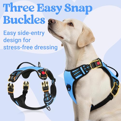 Large Dog Harness (Large / Light Blue)
