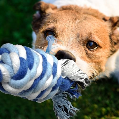 Dog Rope Toy 4 Pack (Red / Mini/Small)
