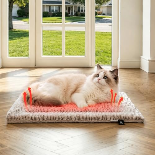 Self Warming Cat Bed Self Heating Cat Pad Pet Mat Indoor Outdoor (A: Light Grey / Small)