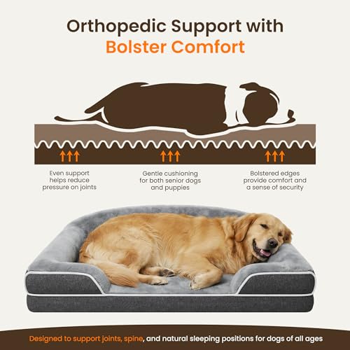 Orthopedic Dog Bed for Small to Medium Dogs (Dark Grey / 30.0"L x 20.0"W x 6.5"Th)