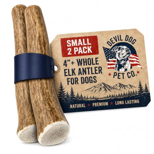 Whole Elk Antlers for Dogs (WHOLE - Small - 2 Pack)