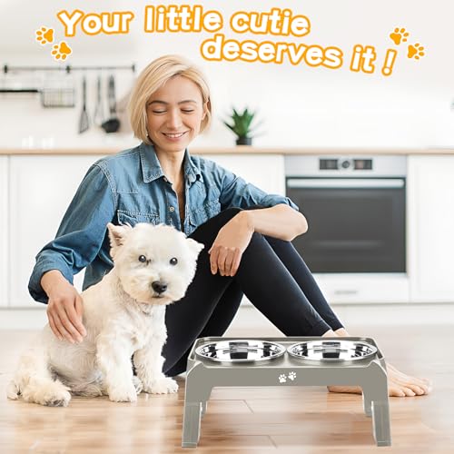 Elevated Dog Bowls for Small Dogs 3 Height Adjustable Raised Dog Bowl Stand with 25oz Stainless Steel Food Bowls Anti (Light Brownish Gray / 6" for Small Dogs)