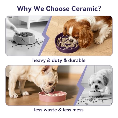 Ceramic Slow Feeder Dog Bowl (Grey / Small without Stand)