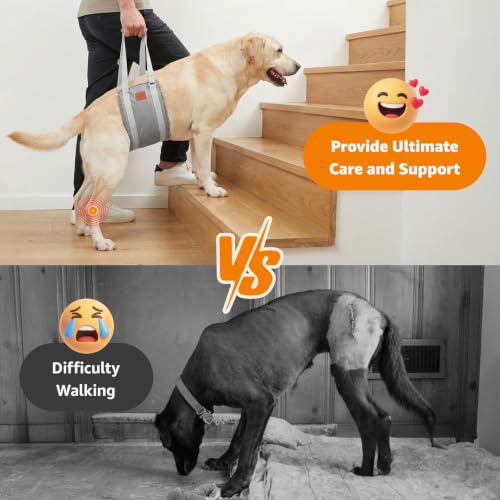 Dog Sling for Extra Large Dogs Hind Leg Support Weak Rear Leg Aid (Grey&Grey / X-Large)