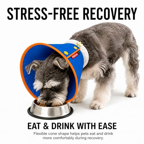 Soft Dog Cone Collar Alternative (Blue / M+)