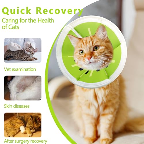 Soft Adjustable Cat Cone Collar (Kiwifruit / Medium)