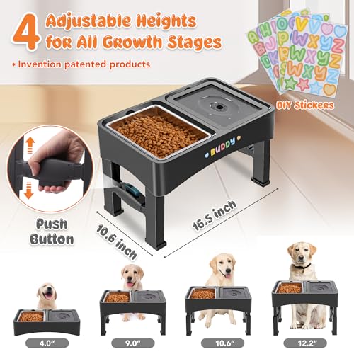 2-in-1 Elevated Dog Bowls with 4 Height Adjustable Raised Stand (2-in-1 Light Black)