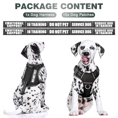 Tactical Dog Harness (Medium / Black)