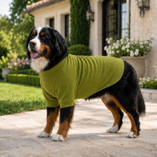 Ribbed Dog T Shirt Cotton Knitted Dog Sweaters for All Season Pet T (2XL (for Medium Large Dog) / Olive green)