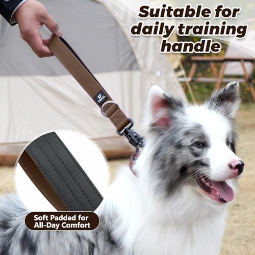14 Inch Traffic Dog Leash with Padded Handle (Brown)