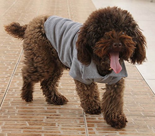 Basic Dog Polo Shirts Premium Cotton (XS (-6lbs) / Gray)