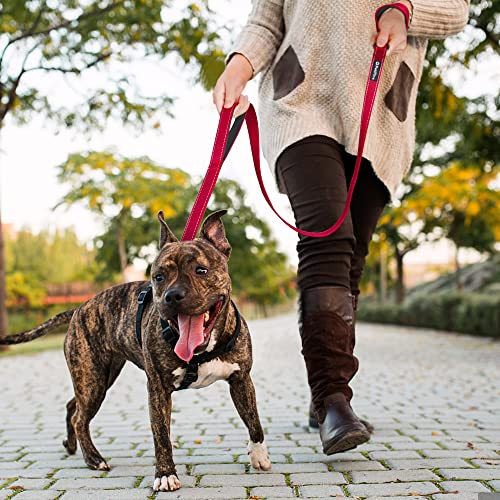 5FT Heavy Duty Dog Leash with Soft Padded Double Handle (5 FT x 1 in Wide / Red)