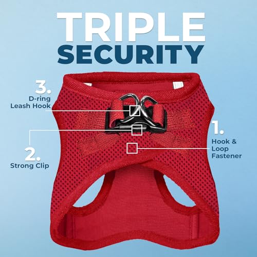 Voyager Step in Air All Weather Mesh Harness and Reflective Dog 5ft Leash Combo with Neoprene Handle (Harness Leash Set (Red) / XXS (Chest: 12 - 13.5"))