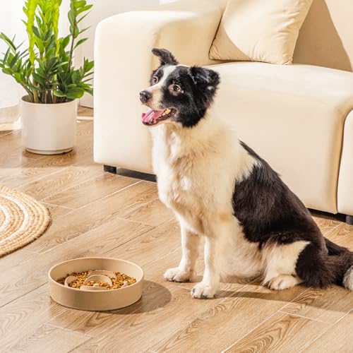 Ceramic Slow Feeder Dog Bowls (L - 3 Cups / Khaki)