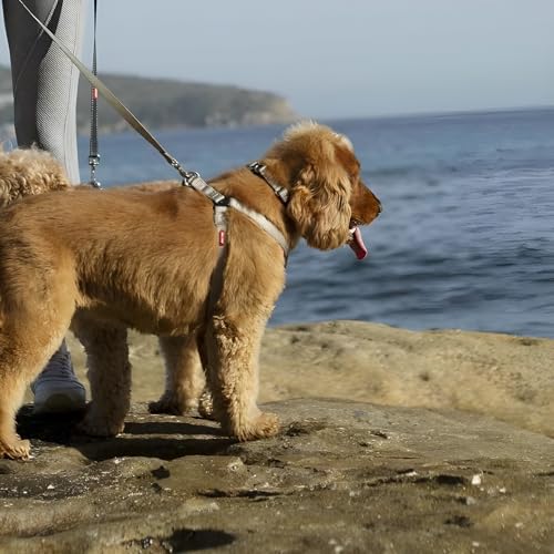 2 Hounds Freedom No Pull 1 Inch Training Leash ONLY Works with No Pull Harnesses (Light Pink)