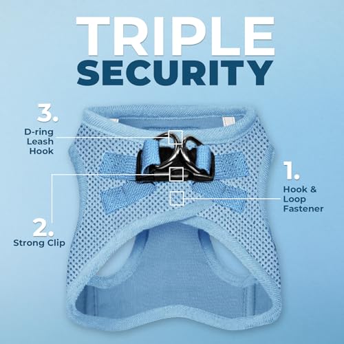 Voyager Step in Air All Weather Mesh Harness and Reflective Dog 5ft Leash Combo with Neoprene Handle (Baby Blue / S (Chest: 14.5 - 16"))
