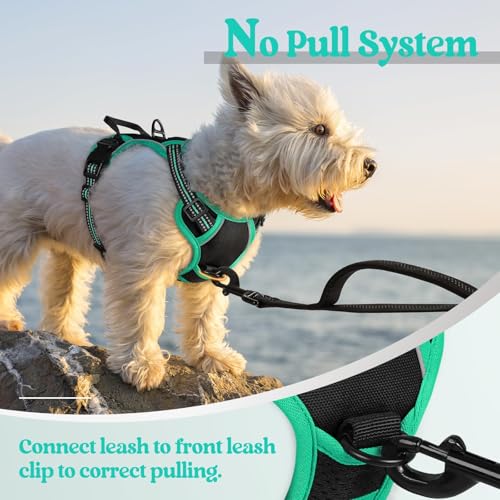 Dog Harness No Pull for Small Dogs with 2 Leash Clips (X-Small / Black & Turquoise)