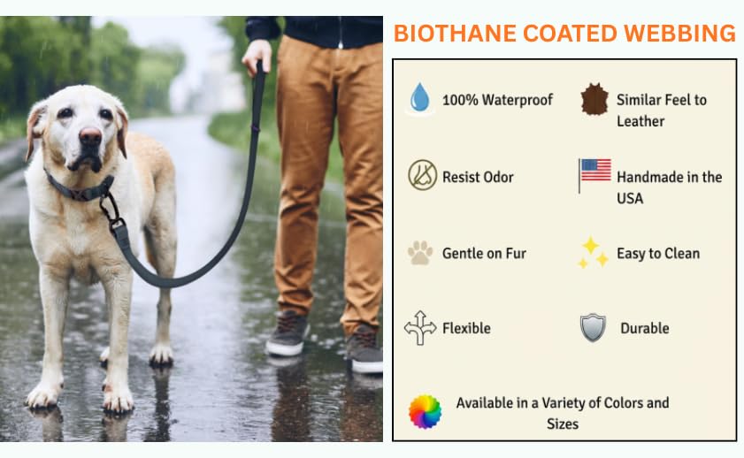 Essential Biothane Dog Leash (Black / 3/4 In x 3 Feet)